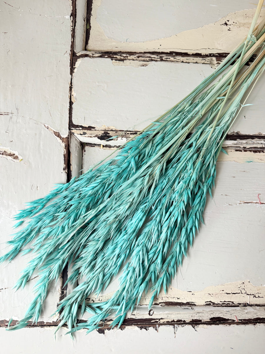 Naturally Dried / Coloured Oat / Avena