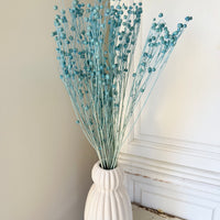 Outlet & Sample [flower stems / greenery]