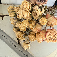 Dried Spray Mini Rose