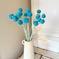 Outlet & Sample [flower stems / greenery]