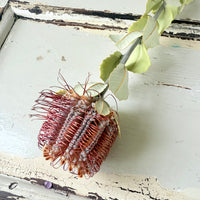 　[Deep & Natural Colours] Outlet & Samples