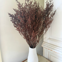 Soft / Vivid Hue Preserved Limonium | Misty | Sea Lavender