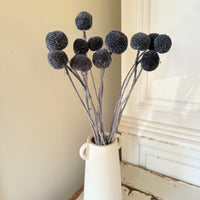 Outlet & Sample [flower stems / greenery]