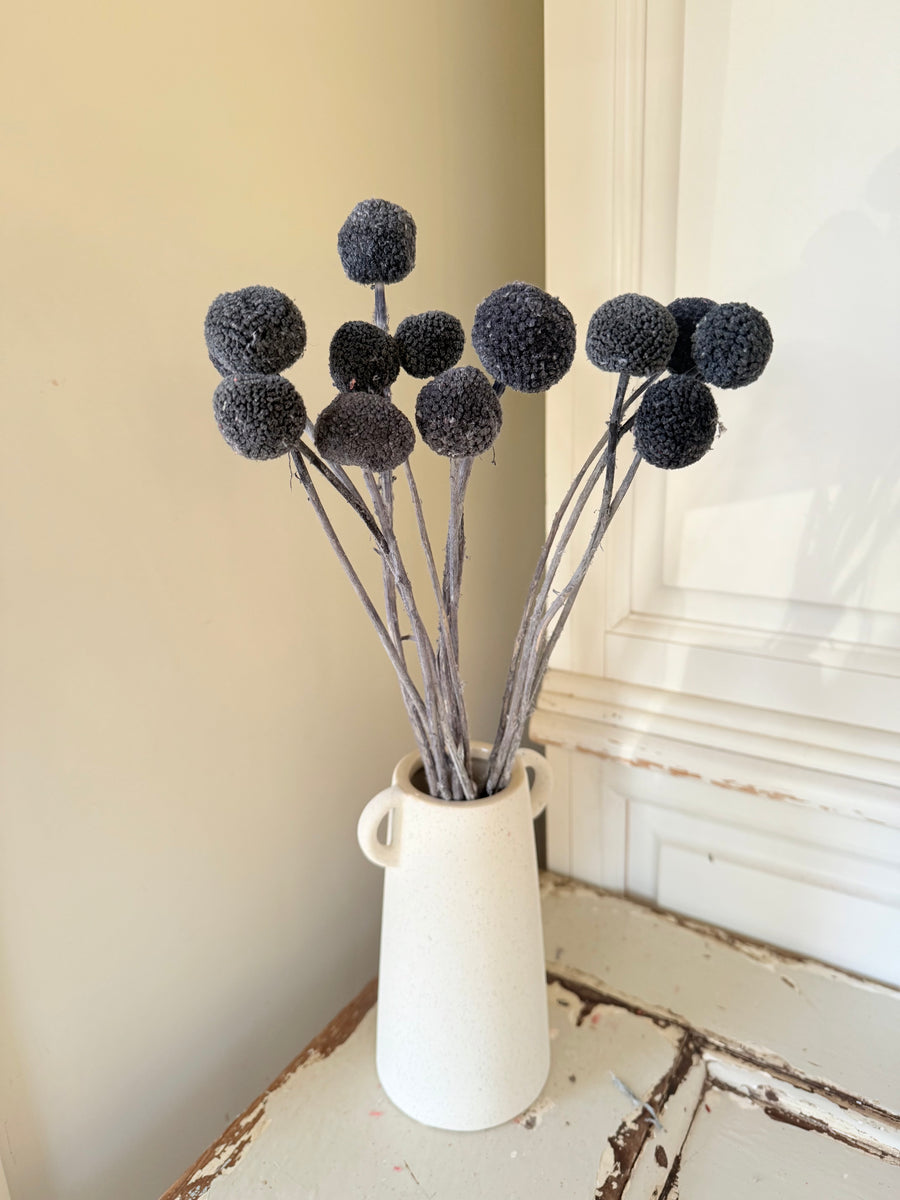 Outlet & Sample [flower stems / greenery]