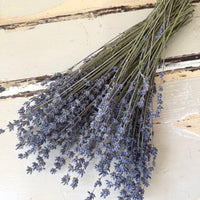 Naturally Dried Lavender bunch - blue purple