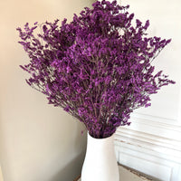 Preserved Crystal Grass / Caspea - Single variety bouquet