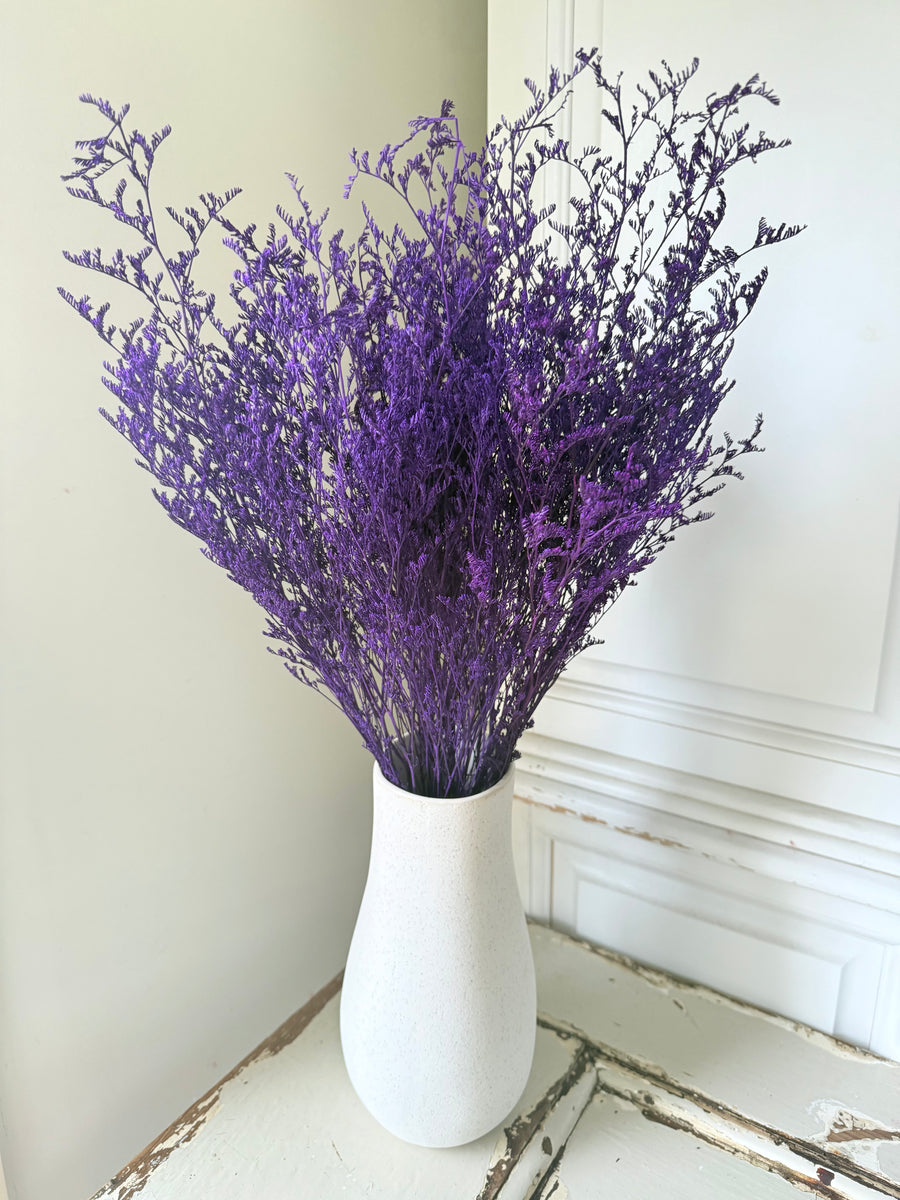 Soft / Vivid Hue Preserved Limonium | Misty | Sea Lavender