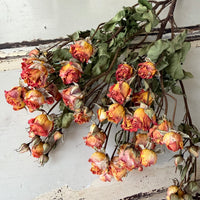 Dried Spray Mini Rose