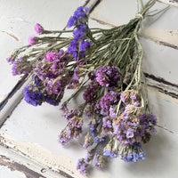 [Deep & Natural Colours] Outlet & Samples