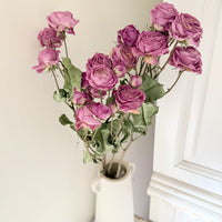 Dried Spray Mini Rose