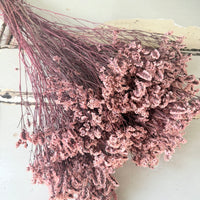 Preserved Crystal Grass / Caspea