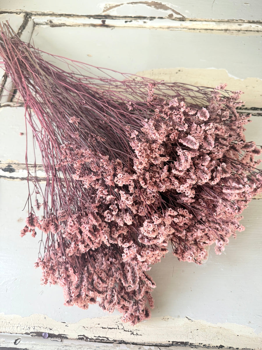 Preserved Crystal Grass / Caspea