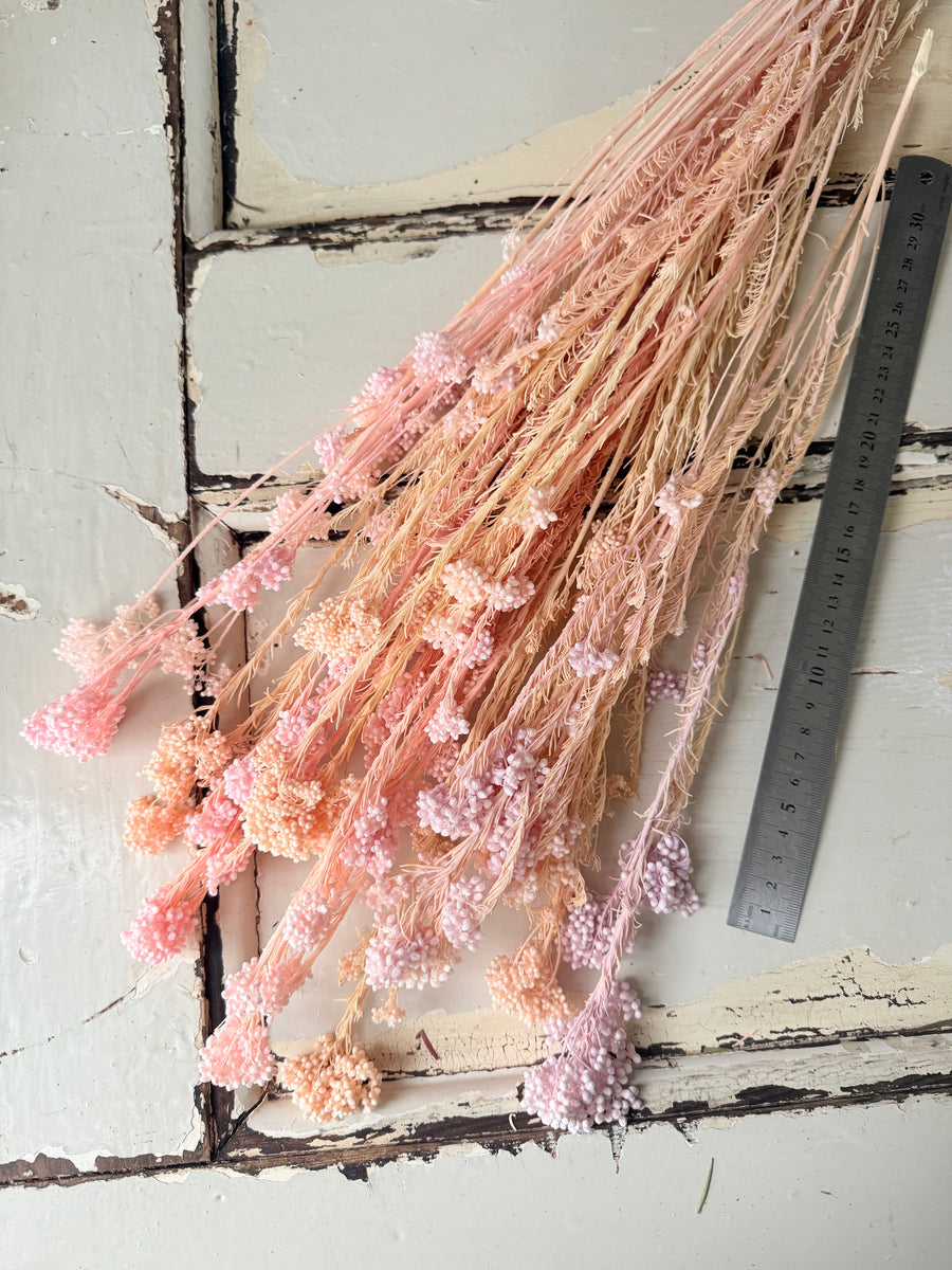 Outlet & Sample [flower stems / greenery]
