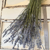 Naturally Dried Lavender bunch - blue purple