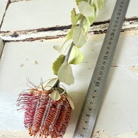 　[Deep & Natural Colours] Outlet & Samples