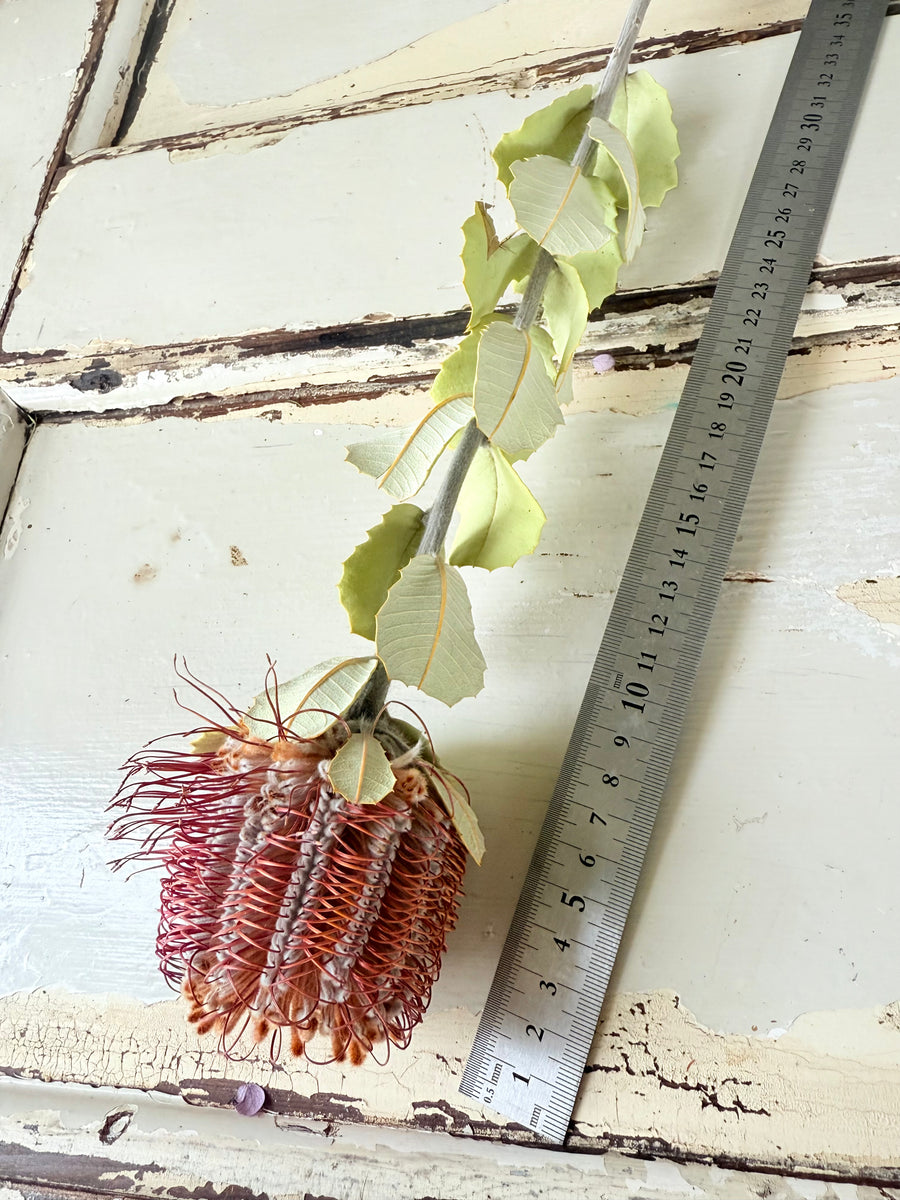 　[Deep & Natural Colours] Outlet & Samples