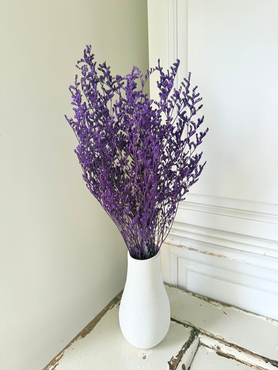 Soft / Vivid Hue Preserved Limonium | Misty | Sea Lavender