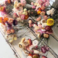 [Deep & Natural Colours] Outlet & Samples