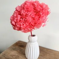 Preserved Hydrangea Stem
