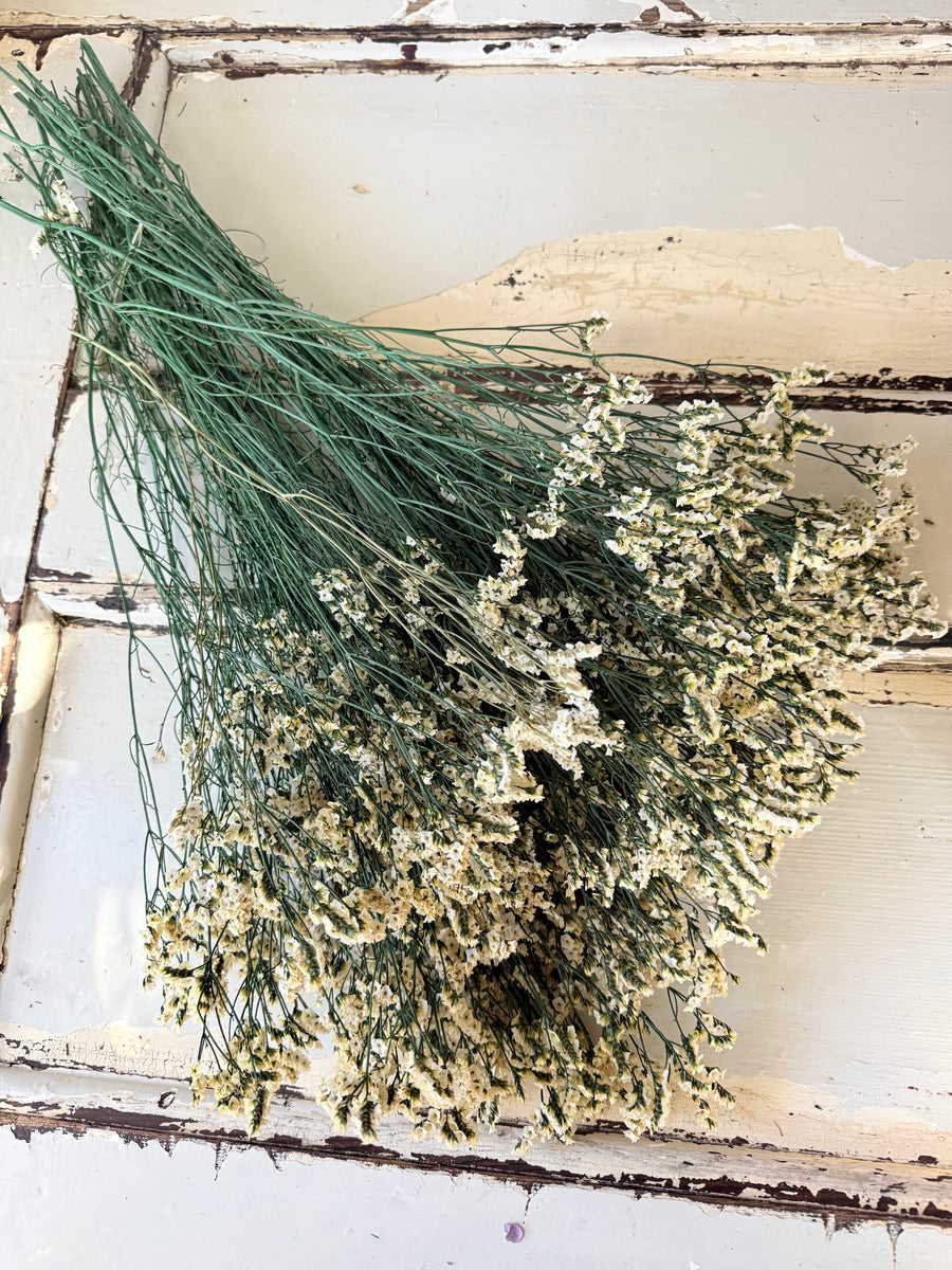 Preserved Crystal Grass / Caspea