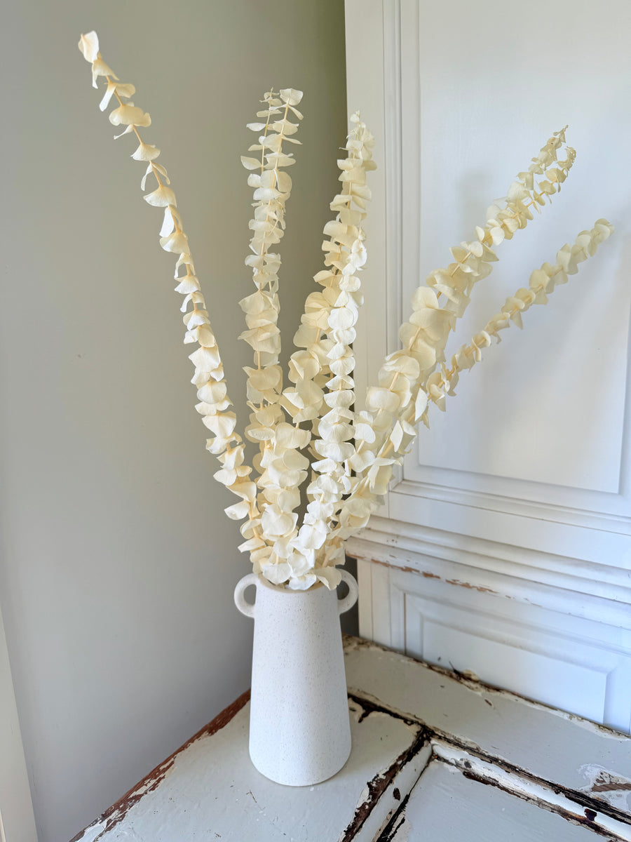 浅色保存的桉树 | 桉树胶 | 淡蓝色