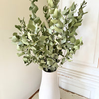 Naturally Dried Gum / Eucalyptus - natural green