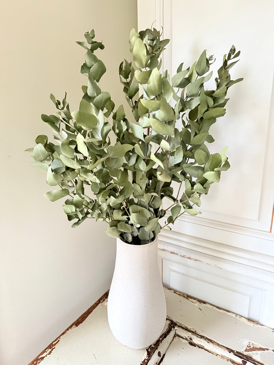 Naturally Dried Gum / Eucalyptus - natural green