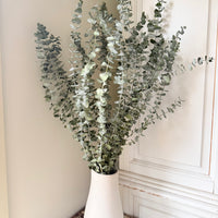 [VIC - Pickup / Local Delivery Only ] LONG Dried Eucalyptus / Gum - natural green