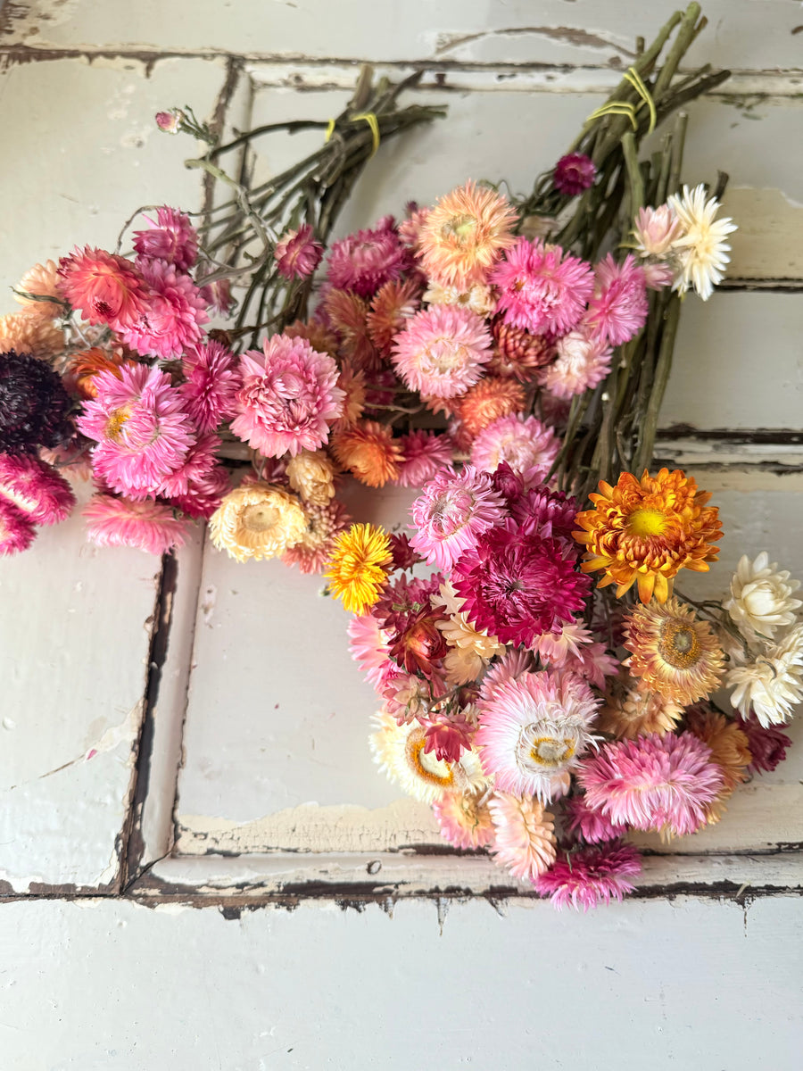 Naturally Dried Helichrysum - Everlasting / Paper Daisy / Strawflower - stems / heads