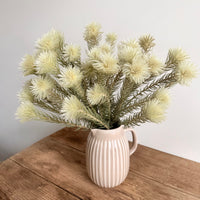 Naturally Dried Philyca Flowers - natural green beige