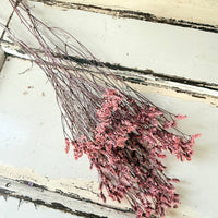 Preserved Crystal Grass / Caspea