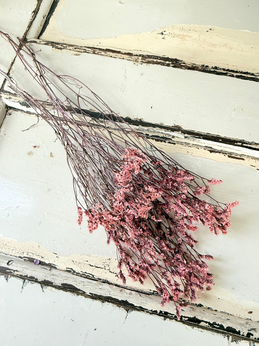 Preserved Crystal Grass / Caspea