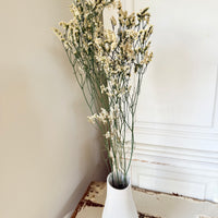 Preserved Crystal Grass / Caspea