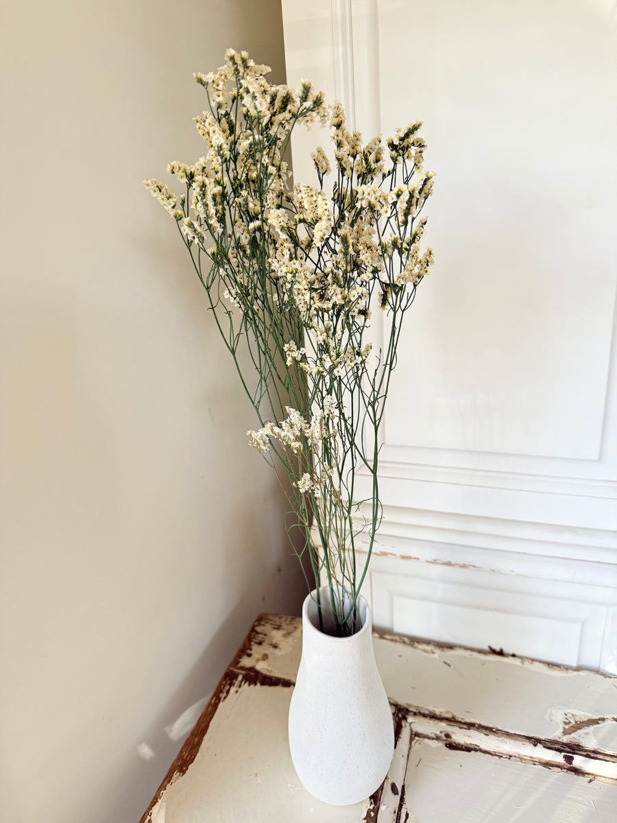 Preserved Crystal Grass / Caspea