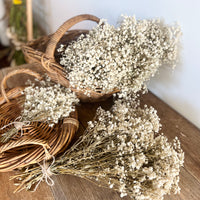 Everlasting Preserved Baby's Breath Bouquet [Mini/SM/ML]