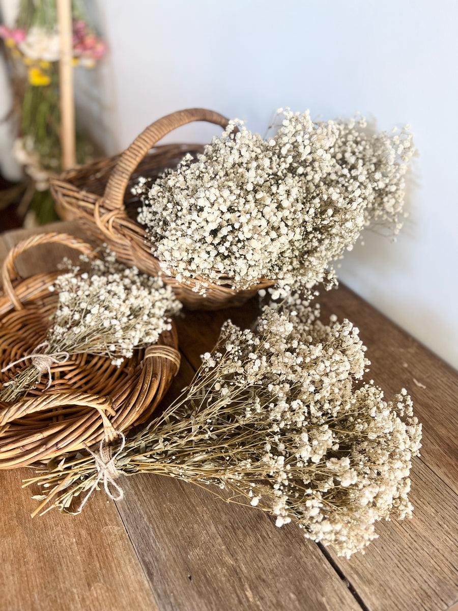 Everlasting Preserved Baby's Breath Bouquet [Mini/SM/ML]