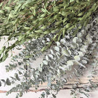[VIC - Pickup / Local Delivery Only ] LONG Dried Eucalyptus / Gum - natural green