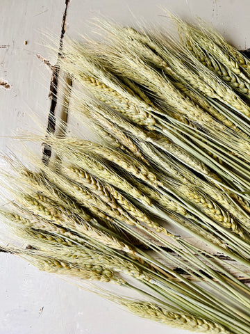 Naturally Dried Wheat