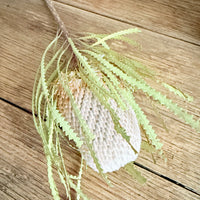 Dried Banksia & King Protea & Protea - Australian Native