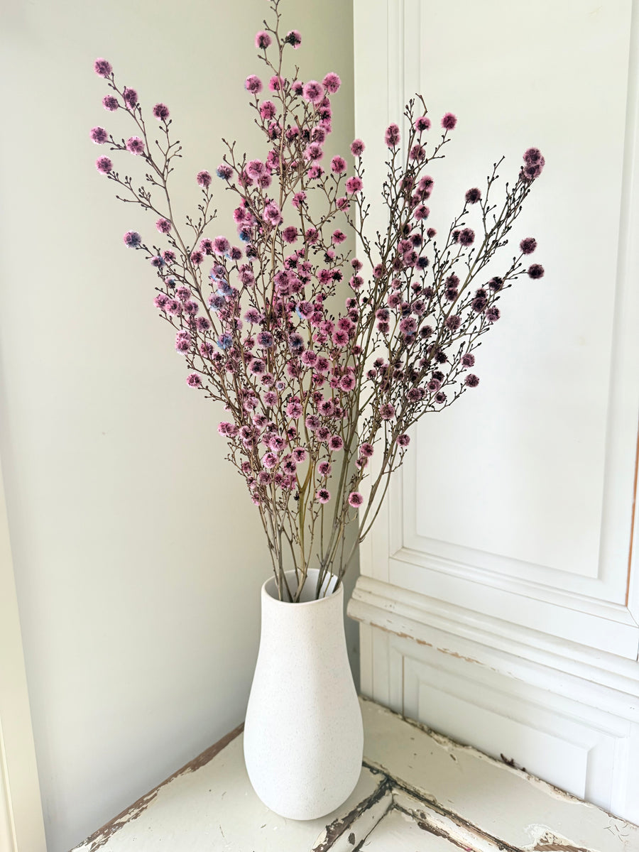 Dried Stirlingia with pods