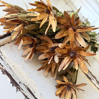 Outlet & Sample [flower stems / greenery]