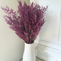 Naturally Dried  / Prserved Misty | Limonium | Sea Lavender