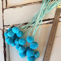 Outlet & Sample [flower stems / greenery]