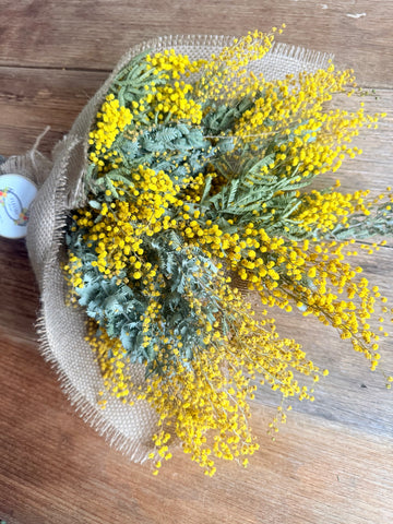 Naturally Dried Wattle / Mimosa Bouquet [SM] yellow