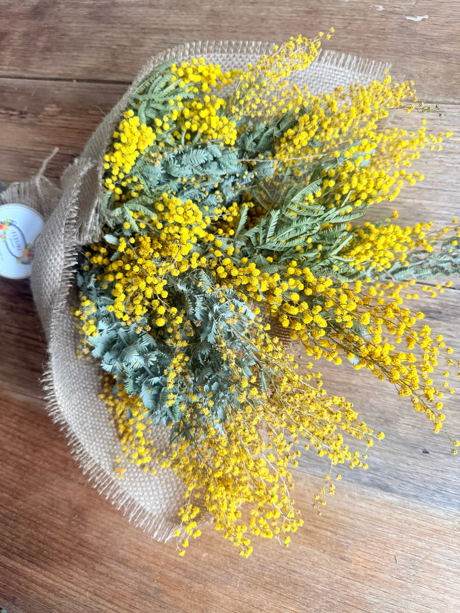 Naturally Dried Wattle / Mimosa Bouquet [SM] yellow