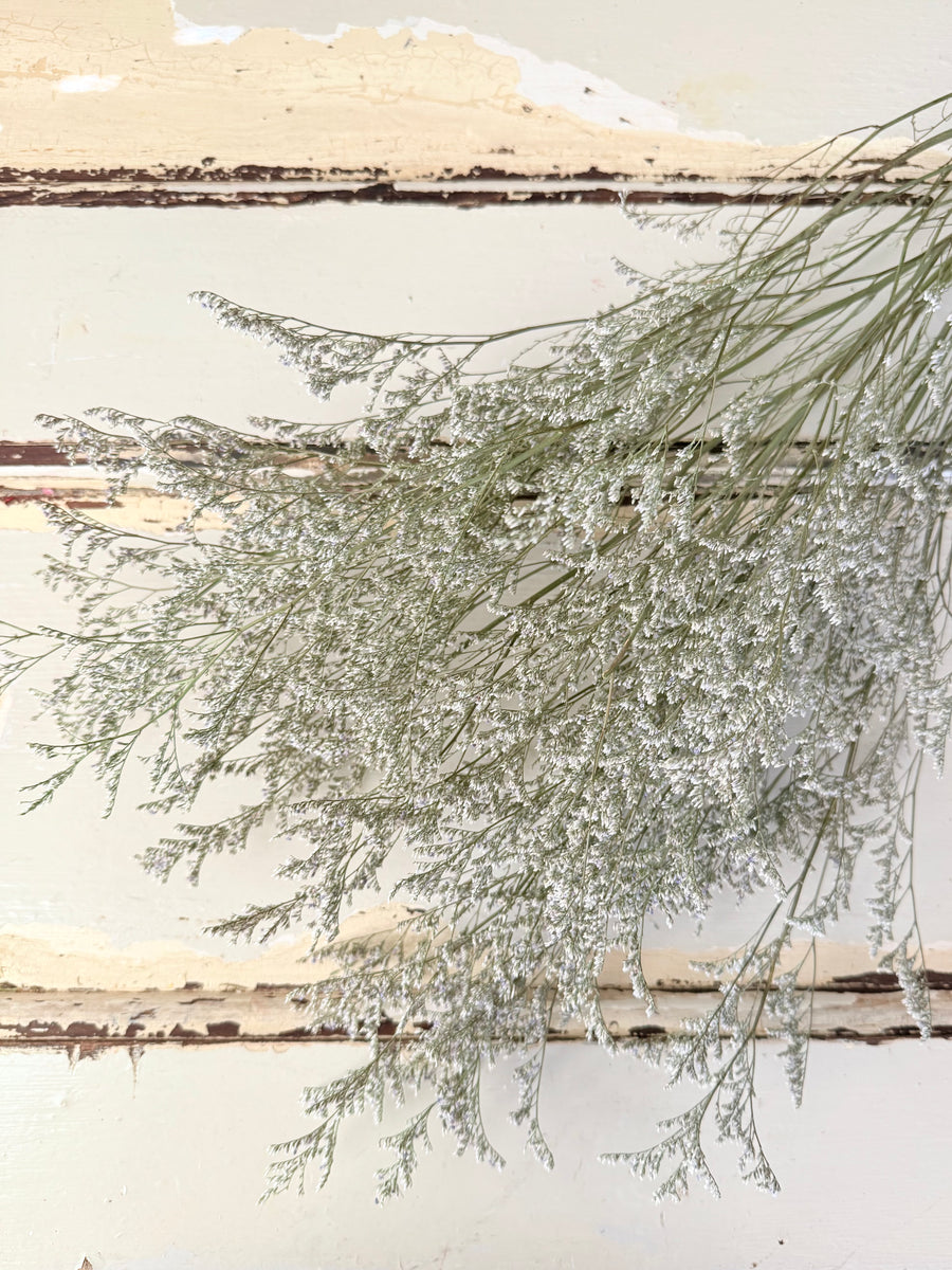Naturally Dried  / Prserved Misty | Limonium | Sea Lavender