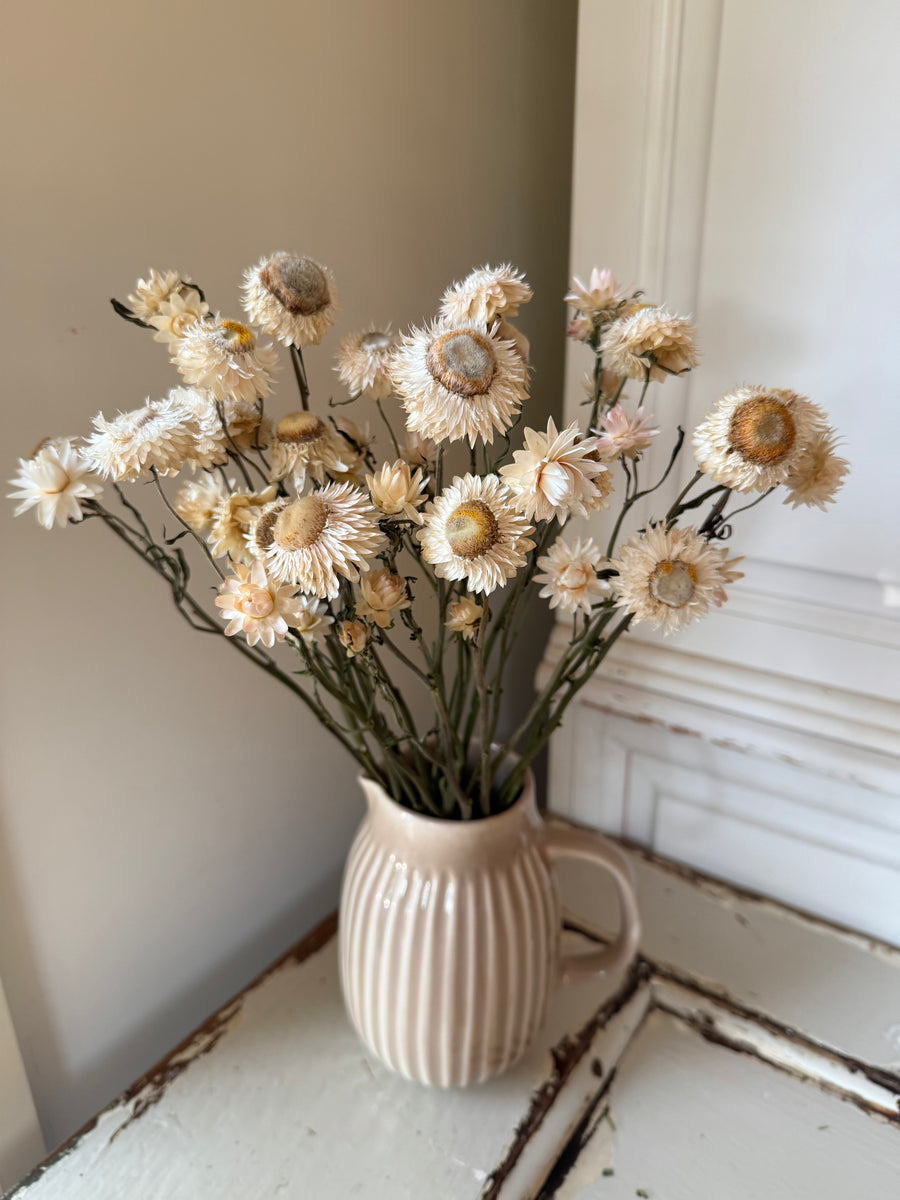 Naturally Dried Helichrysum - Everlasting / Paper Daisy / Strawflower - stems / heads