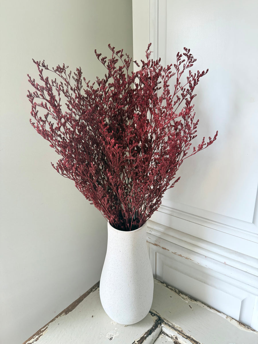 Soft / Vivid Hue Preserved Limonium | Misty | Sea Lavender