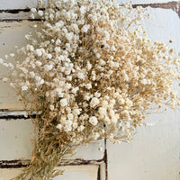 Outlet & Sample [flower stems / greenery]