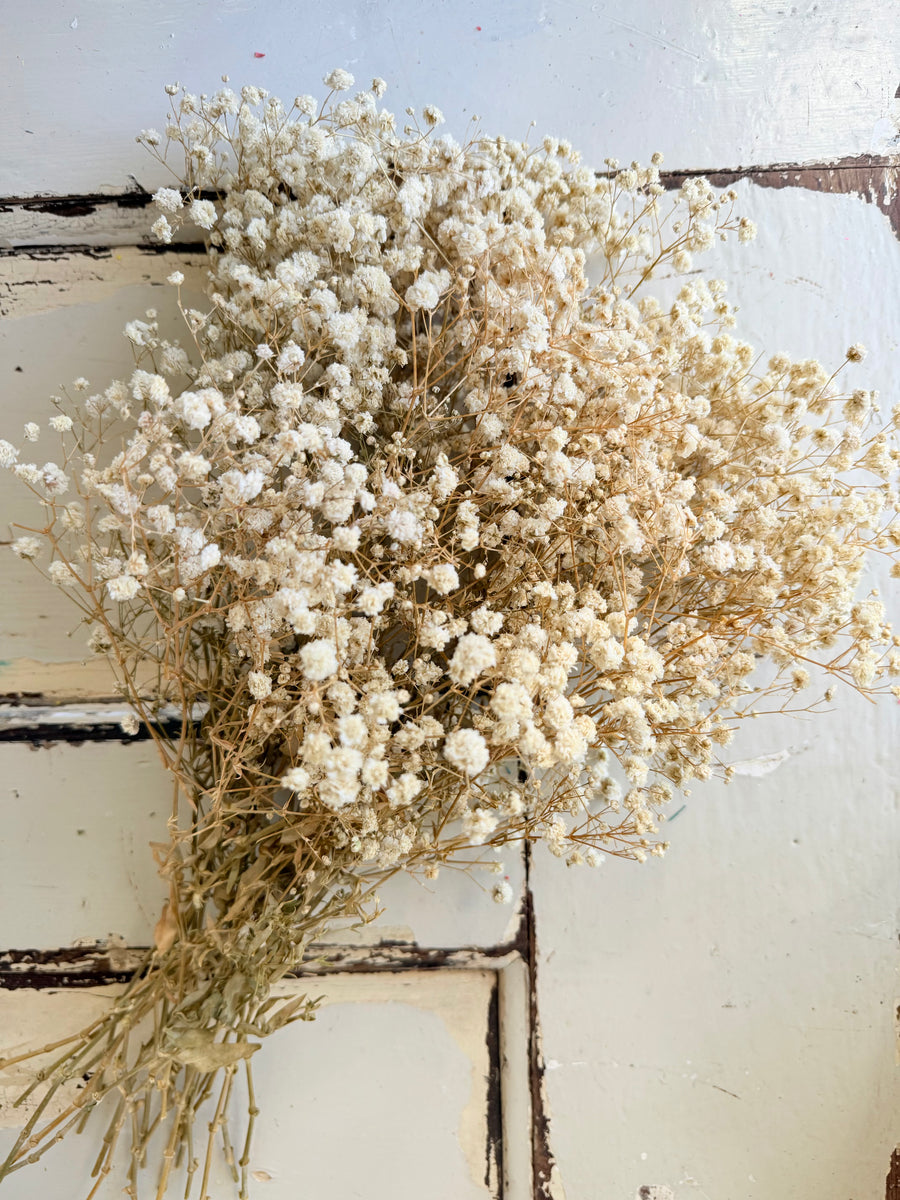 Outlet & Sample [flower stems / greenery]